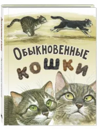 Обыкновенные кошки